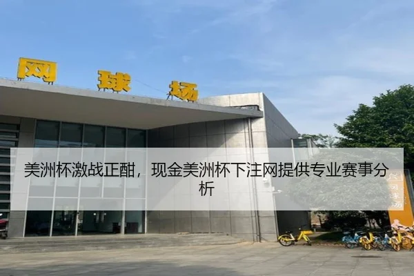 美洲杯激战正酣，现金美洲杯下注网提供专业赛事分析