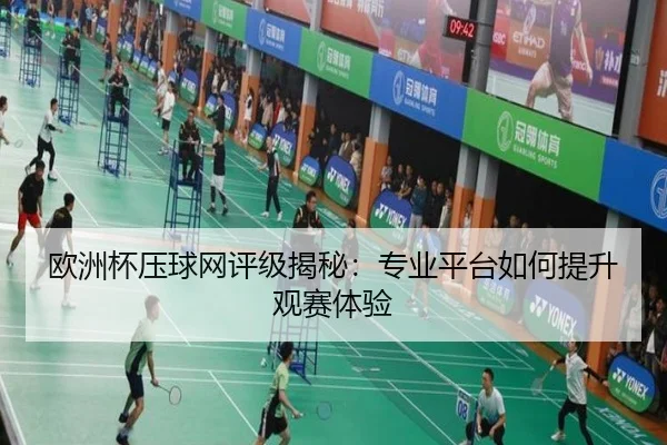欧洲杯压球网评级揭秘：专业平台如何提升观赛体验